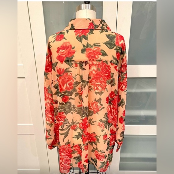 Zara Basics Sheer Blouse (XL) - Picture 2 of 7